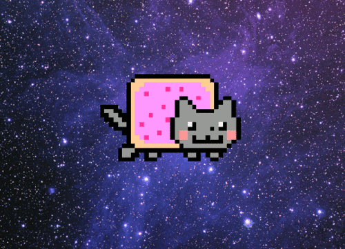 nyan cat